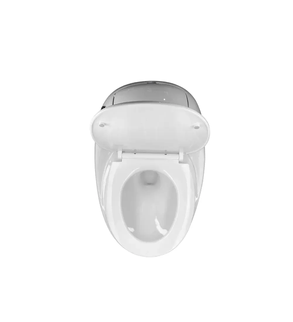 Sanitario De Lujo Blanco premium